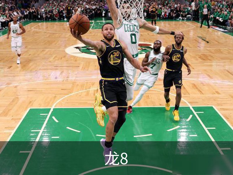 龙8介绍